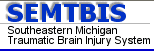 Rehabilitation Institute of Michigan image link